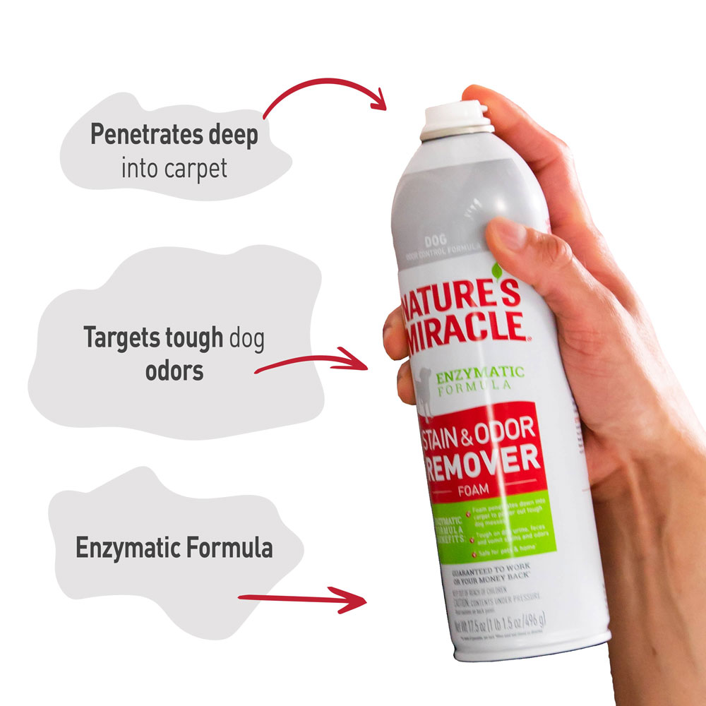 Nature's miracle stain and odor shop remover foam